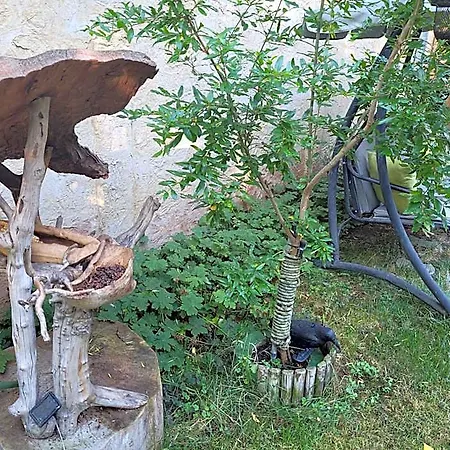 Hotel Veronika 3*